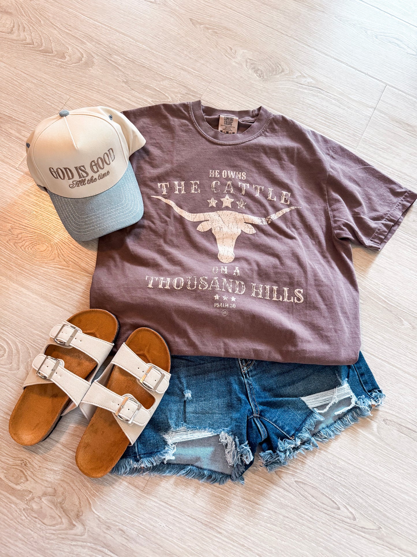 He Owns The Cattle Christian Graphic Tee